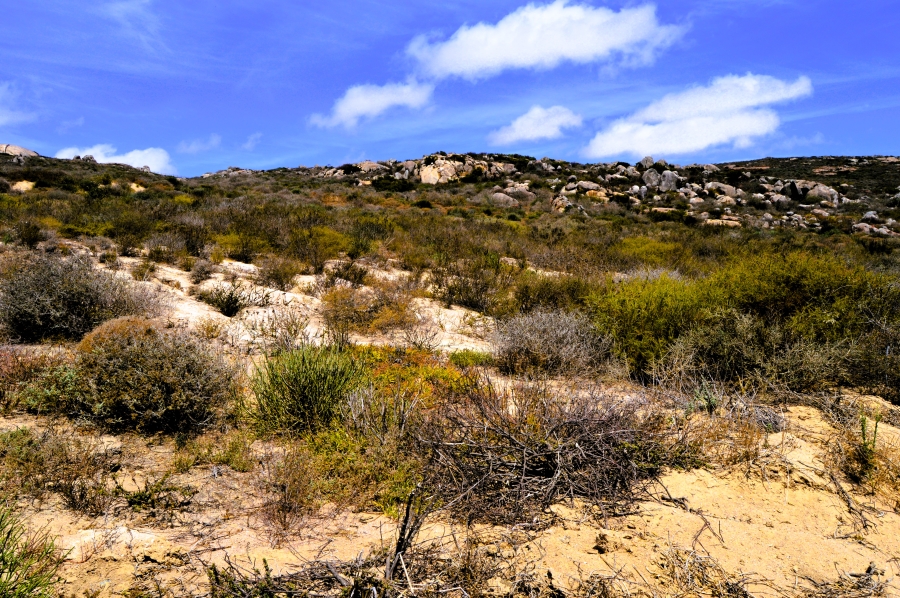 0 Bedroom Property for Sale in Steenbergs Cove Western Cape